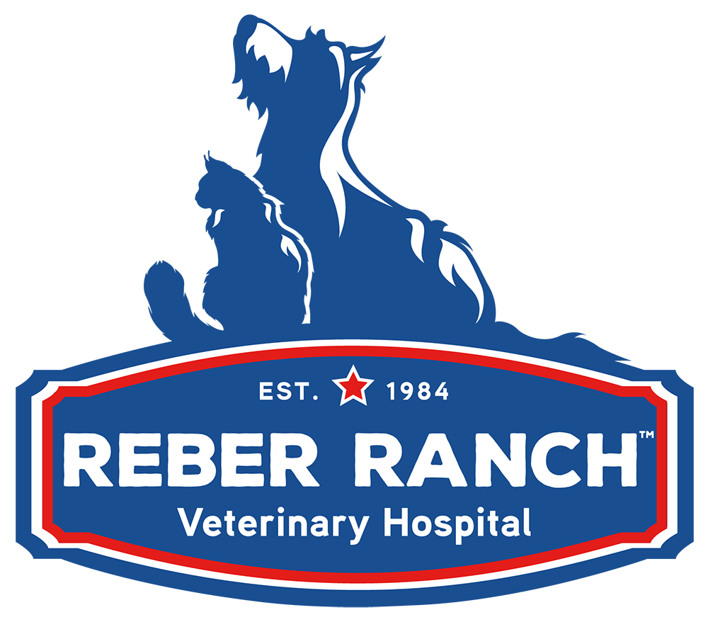 Reber Ranch Veterinary Hospital Home